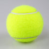 Professional Standard Tennis Training Balls